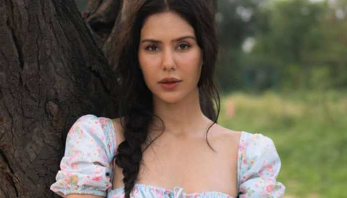 Sonam Bajwa Urges Donations, Ammy Virk Adopts 200 Houses For Punjab Flood Victims
