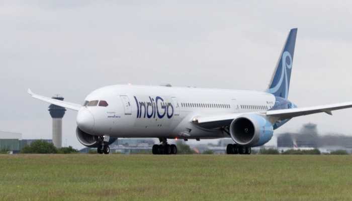 Kolkata-Bound IndiGo Flight 6E812 Returns To Nagpur After Bird Hit, Makes Emergency Landing