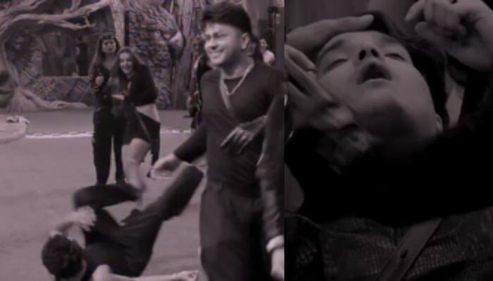 Bigg Boss 19 Update: Mridul Tiwari Gets Injured During Captaincy Task - WATCH PROMO