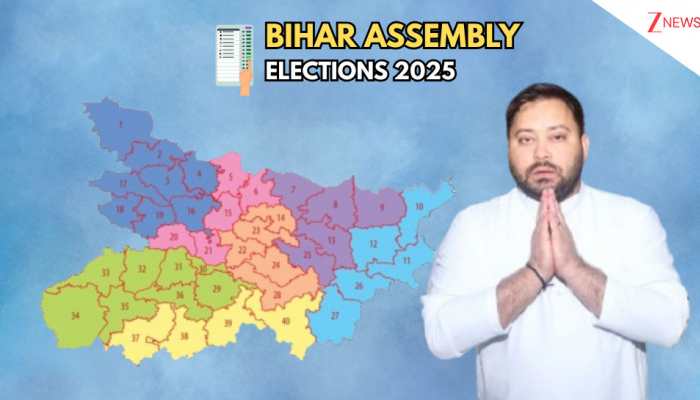 Can Tejashwi Yadav's Strategy Make Him A Face Of Resurgent Opposition In Bihar?