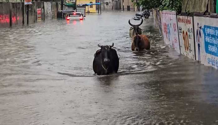 IMD Issues Warning For Fishermen; 123 Dams On High Alert As Gujarat Faces Heavy Rainfall