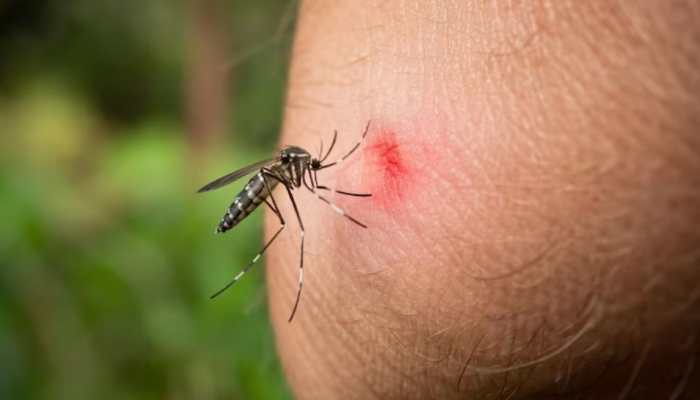 THIS Blood Type Is A Mosquito Magnet – Here’s Why!