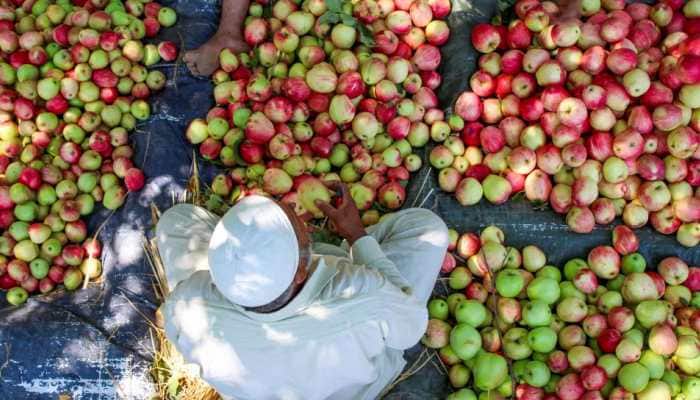J-K: Kashmir Apple Growers Hail New Rail Service, Demand More Trains