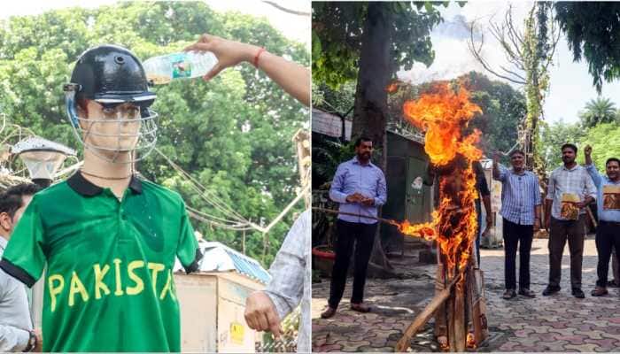Blood Vs Cricket: What's Really On The Line In India-Pakistan Asia Cup Clash?