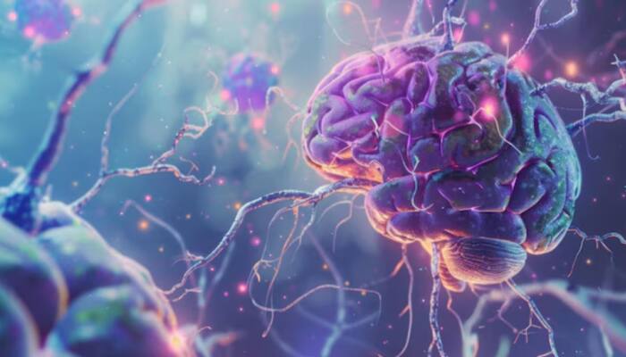Brain-Eating Amoeba Kills 19 In Kerala: How Deadly Infection Spreads And Ways To Stay Safe - Dos And Don’ts