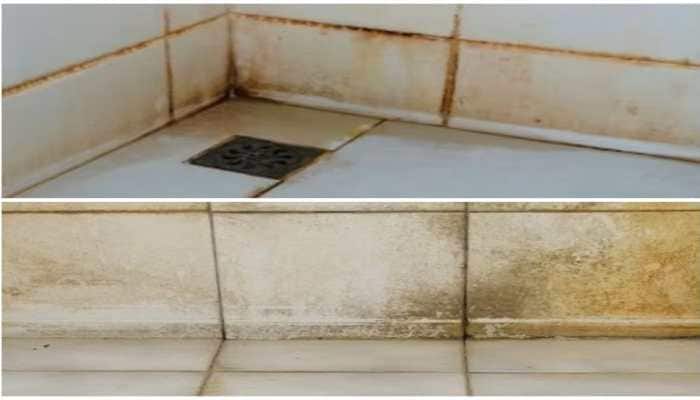 No More Hours Of Scrubbing! This Magic Trick Will Make Your Bathroom Tiles Shine Instantly