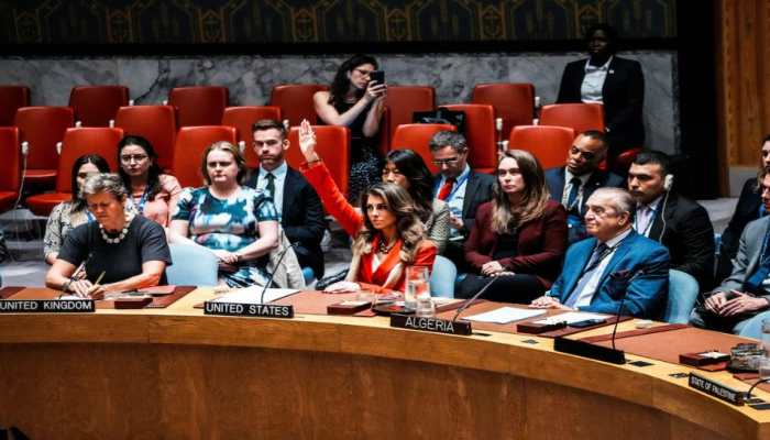 14 Against 1: Alone And Defiant US Blocks Gaza Ceasefire At UN, Says Warnings About Famine Are 'Biased'