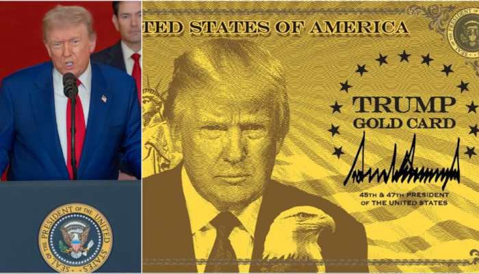 What Are Trump's Gold, Platinum, Corporate Gold Cards For H-1B Workers?