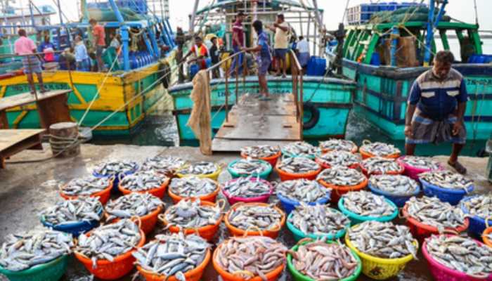 Government To Host Investor Meet In Lakshadweep To Boost Tuna And Seaweed Exports