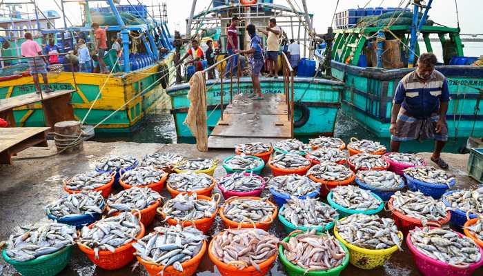 Lakshadweep To Host Investor's Meet On Tuna, Seaweed Exports