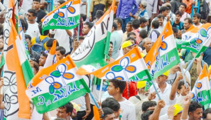 Before 2026 Polls, Trinamool To Partially Implement ‘One Person, One Post’ Within Party