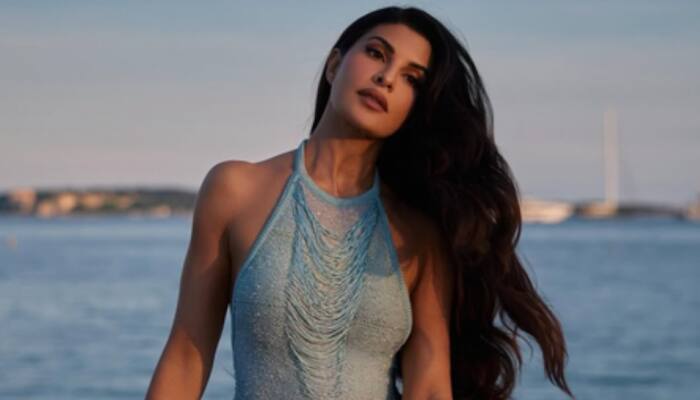 Supreme Court Rejects Jacqueline Fernandez's Plea In Rs 200 Crore Sukesh Chandrasekhar Fraud Case