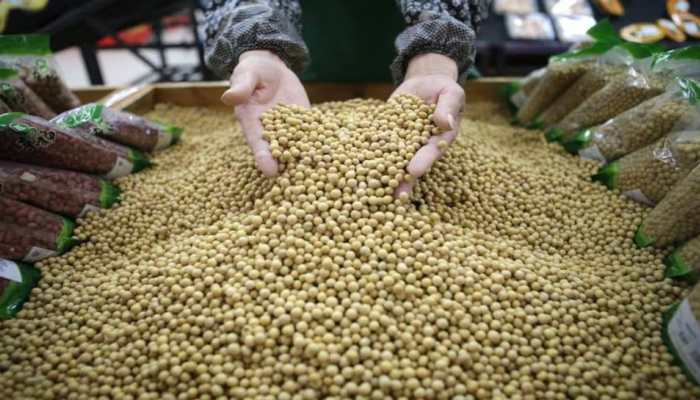 Trump’s Trade War Backfires: China Halts Soybean Imports, U.S. Farmers Face $12B Disaster
