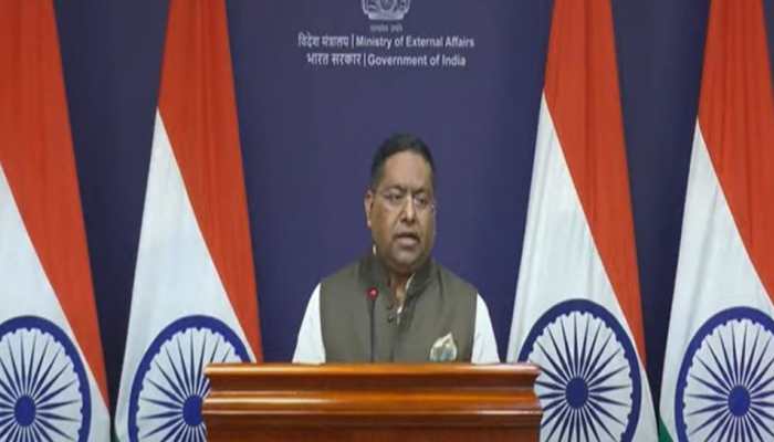 ‘Brutalities And Oppressive Approach By Pakistani Forces...’: India’s Sharp Reaction To PoK Protests