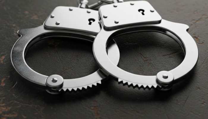BSF Arrests Smuggler With 20 Gold Biscuits Worth Rs 2.82 Crore In West Bengal 