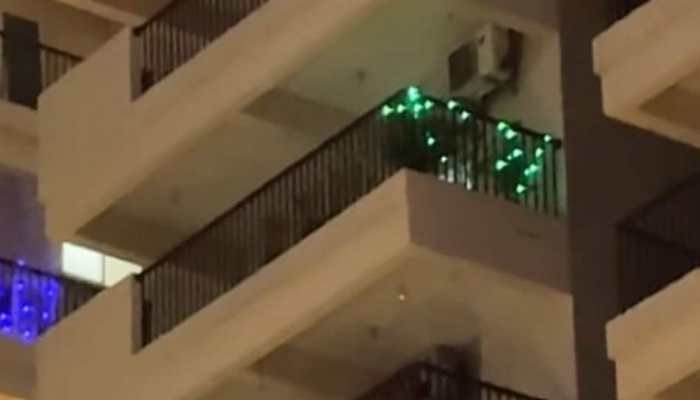 The 'Green Lights Wala Flat' Explained: Why This Bachelor's One-Line Diwali Decor Broke The Internet | VIDEO