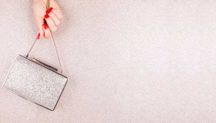 Elegant Embroidered Clutches for Festive Looks