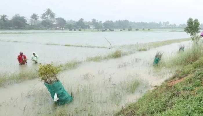 TN BJP, NTK Demand Immediate Relief For Flood-Hit Delta Farmers From Stalin Govt