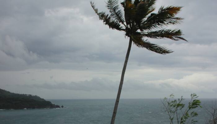 Cyclone 'Montha' Alert: Flight Operations Affected, Schools Shut In THESE Districts | Check