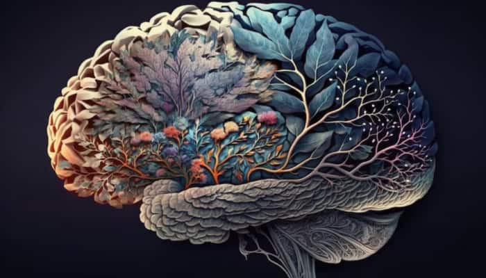 Your Tongue May Hold Clues To Detect, Track Motor Neurone Disease; Claims Study