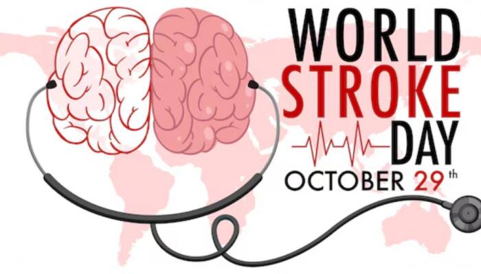 World Stroke Day 2025: From Hypertension To Air Pollution - 6 Major Health Risk Factors That Significantly Raise Stroke Risk
