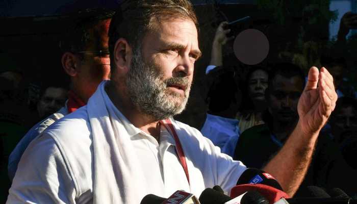Ahead Of Bihar Polls, Rahul Gandhi Claims BJP Is 'Remote-Controlling' Nitish Kumar 