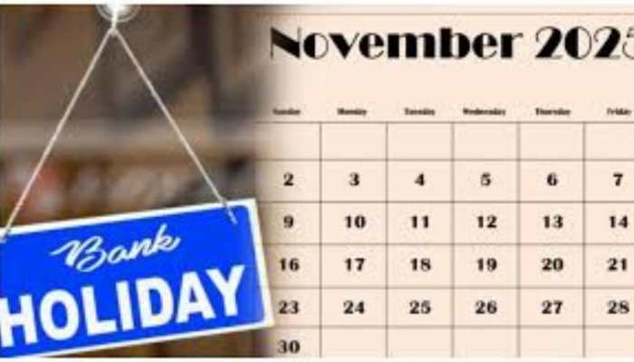 Bank Holidays In November 2025: Banks To Stay Closed For 11 Days Across India For Festivals Like Guru Nanak Jayanti, Kannada Rajyotsava, Wangala &amp; More — Check State-Wise Full List