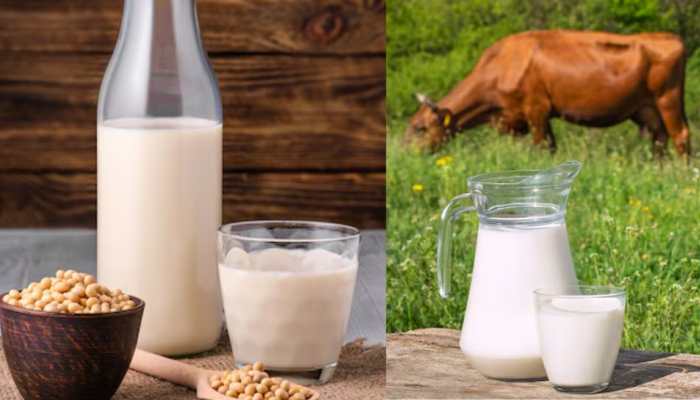 Is Soy Milk Healthier Than Cow Milk? Check Detailed Analysis Of Nutrition, Health Benefits, Taste And Versatility