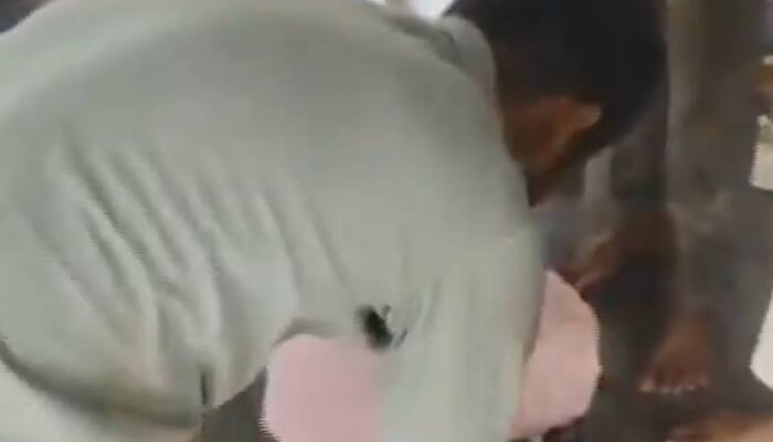 Andhra Pradesh Temple Stampede Tragedy: Chaos And Panic Captured On Footage