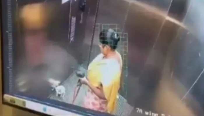 Bengaluru Outrage: CCTV Captures Maid Savagely Beating Puppy Goofy To Death In Apartment Lift | VIRAL VIDEO