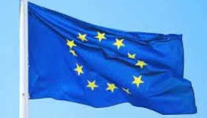 EU-India Boost Clean Energy And Climate Partnership With New Industrial Transition Push: EU Diplomat