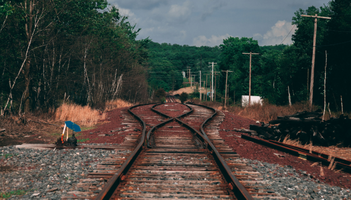 Mirzapur Tragedy: Several Feared Dead After Being Hit By Train, CM Announces Aid - All You Need To Know Mirzapur Tragedy: Several Feared Dead After Being Hit By Train, CM Announces Aid - All You Need To Know