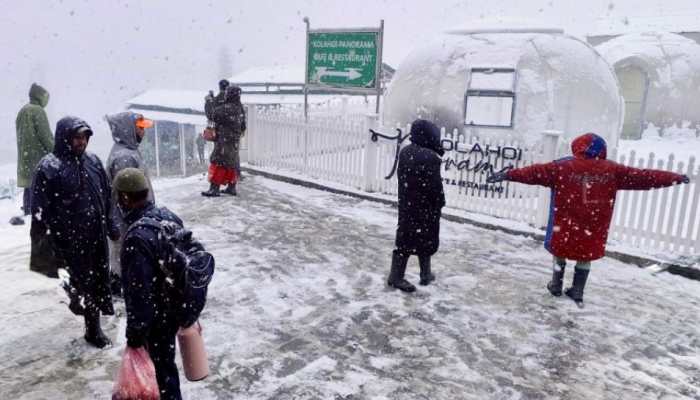 Fresh Snowfall Revives Tourism In Kashmir: Tourists Call It Safe, Magical, And Heaven On Earth