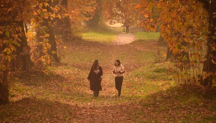 A Valley Painted In Crimson And Gold: Kashmir’s Autumn Is Pure Poetry