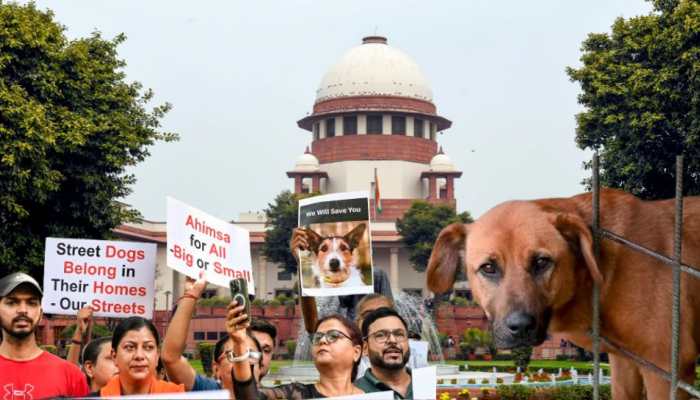 SC Mandates Clear Highways: Authorities Ordered To Remove Stray Animals From Expressways