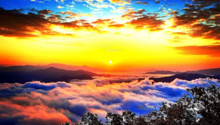Morning Thought Of The Day For November 8, 2025: 10 Inspirational Quotes To Start Your Saturday With Positivity