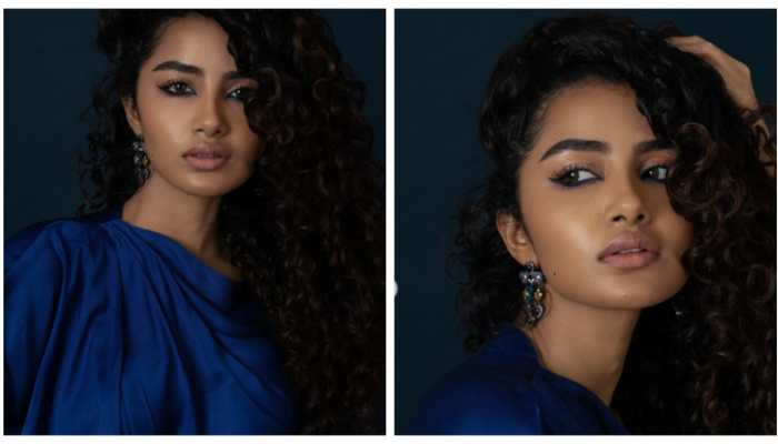Anupama Parameswaran Takes Legal Action Against 20-Year-Old For Cyberbullying