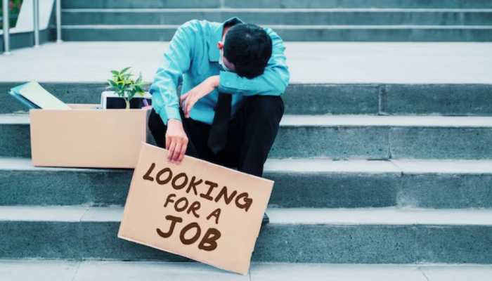 National Education Day 2025: Half Of India’s Graduates Underemployed- Why Job Market Rewards Skills Over Degrees