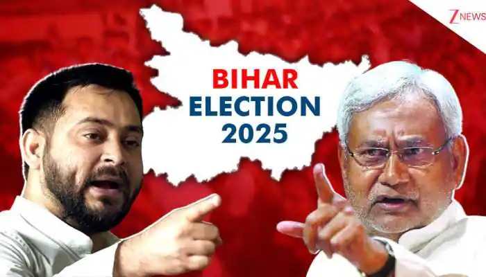 Bihar Election 2025: Direct Link To Check Vidhan Sabha Election Results On ECI Website - Direct Link