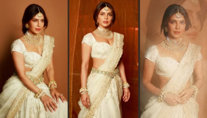 Priyanka Chopra Slays In Traditional Look, Nick Jonas 'Speaks On Behalf Of Everyone...'
