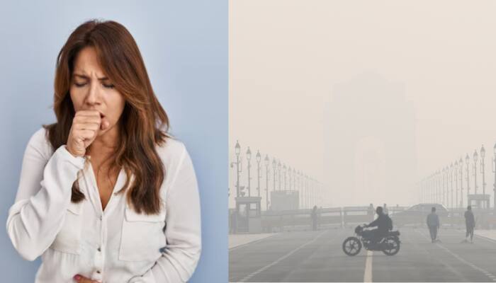 List Of 10 Diseases Caused By Air Pollution: How Toxic Air Affects Your Lungs, Heart, Brain, And Overall Health