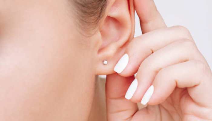 Elegant Women’s Stud Earrings