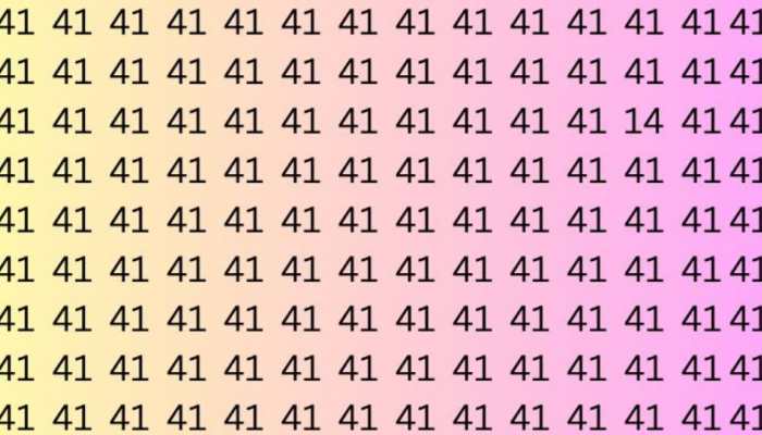 Optical Illusion Challenge: Can You Find The Odd Number '14' Within 8 Seconds?
