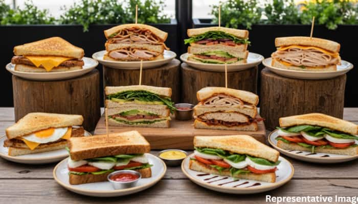10 Delicious Sandwich Varieties You Need to Try