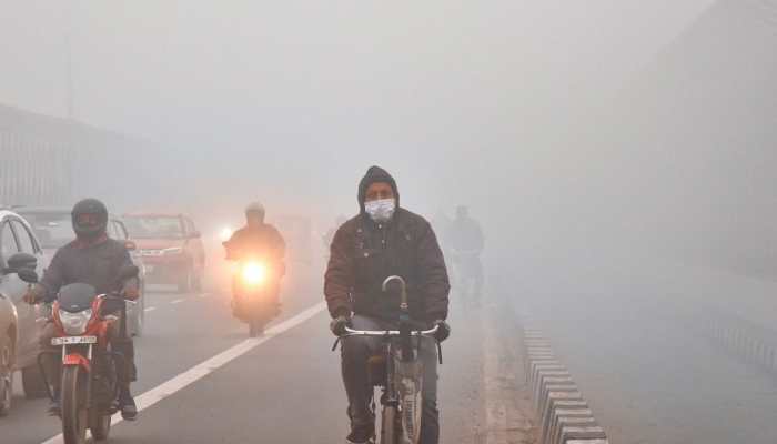 Weather Update: IMD Issues Alert For Multiple States As Cold Wave And Heavy Rain Forecast; Delhi Dips To 8°C