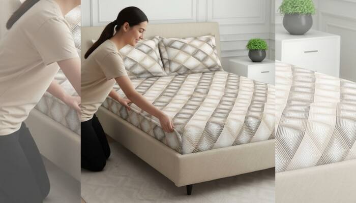 Best Soft and Stylish Bedsheets for Cozy, Comfortable, and Modern Bedrooms