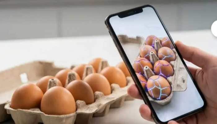 Customer Uses Gemini Nano To Crack 20 Eggs Straight In A Tray, Gets Refund From Instamart In Viral Post