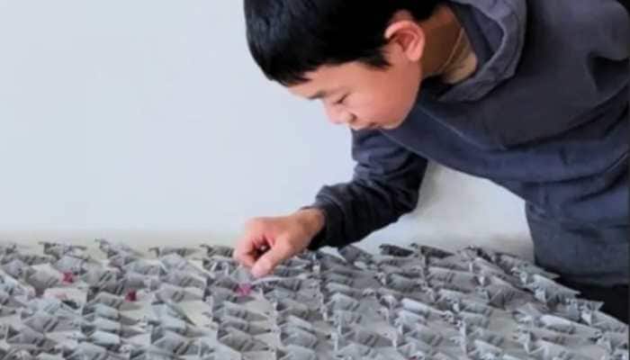Meet The 14 Year Old Whose Origami Creation Defies Physics And Wins Big 