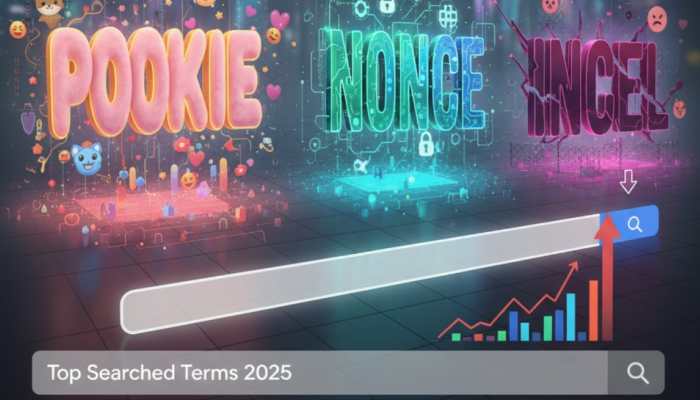 Year Ender 2025: What Is Pookie? Meanings Of 'Nonce' And 'Incel' Explained As Top Searched Slang Of 2025