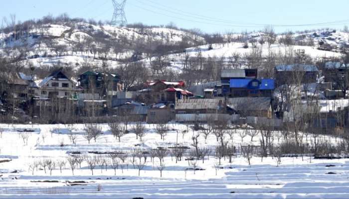 Climate Change Disrupts Bear Hibernation In J-K, Fuel Human-Wildlife Conflict